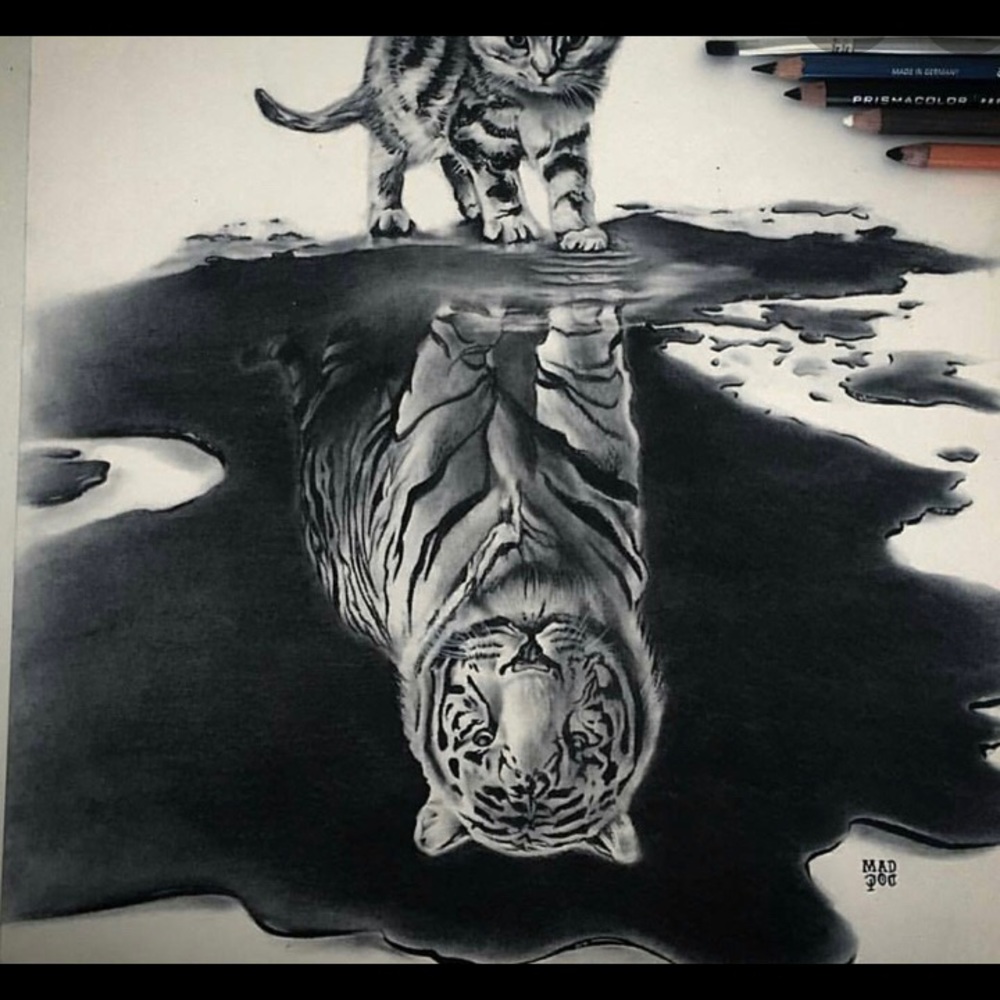 It’s nice picture my friend drew it